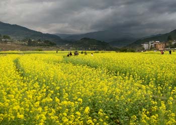 闽侯天气预报15天查询